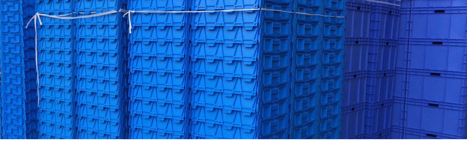 星空体育官网赞助里尔