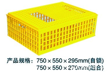 F002 成鸡周转箱