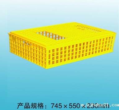 F004 组合式鸽用周转箱